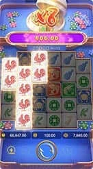 123IPL · Win Win Fpc